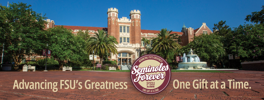Seminoles Forever banner