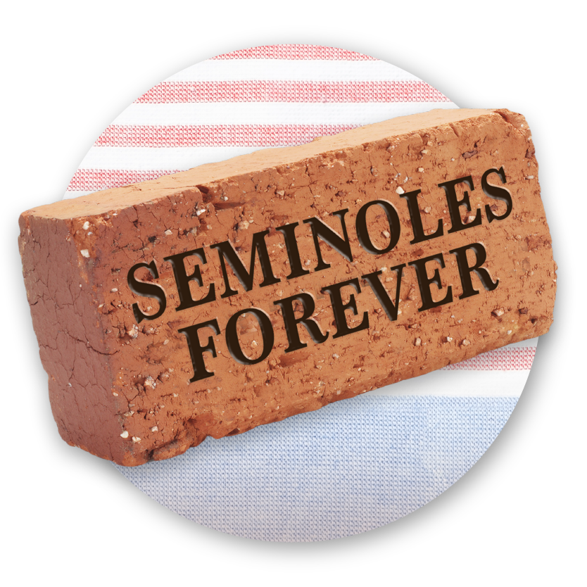 Holiday Bricks