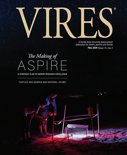 VIRES - Fall 2024