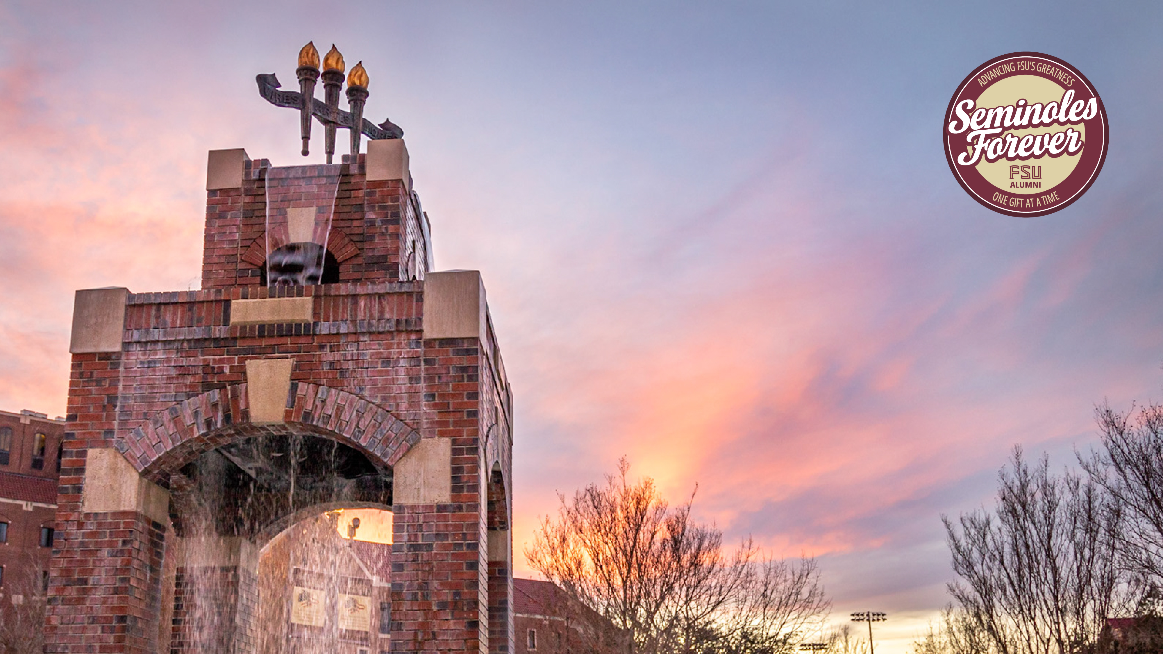 FSU Seminoles Forever Initiative Donors Zoom Background | FSU Alumni ...