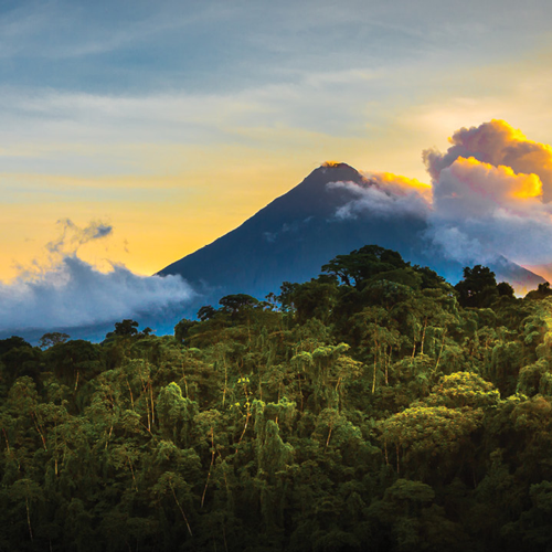 Picture of Costa Rican wilderness.