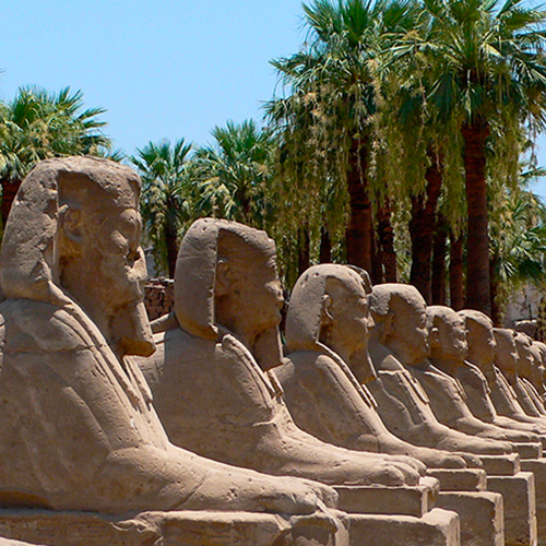 Picture of row of Egyptian Sphinx statues.
