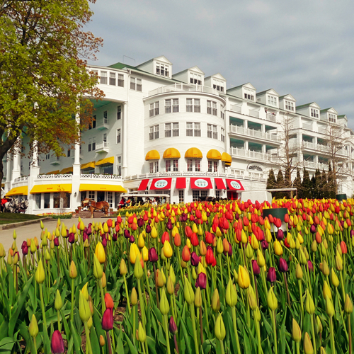 An image of the Grand Hotel with tulips in the foreground