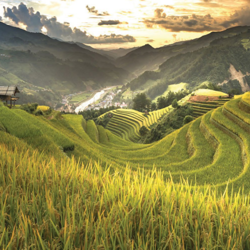 Picture of Verdant landscapes in Indochina