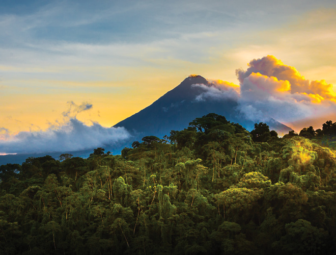 Picture of Costa Rican wilderness.