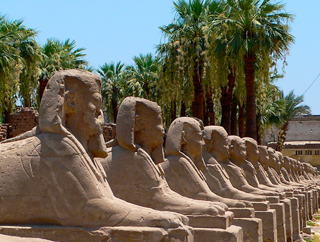 Picture of row of Egyptian Sphinx statues.