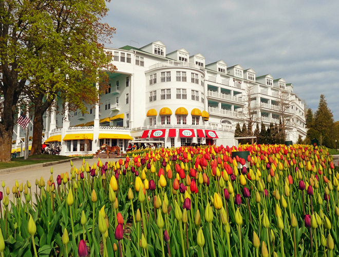 An image of the Grand Hotel with tulips in the foreground