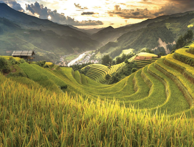 Picture of Verdant landscapes in Indochina